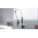 Levi Pull Down Single Handle Kitchen Faucet with Side Spray