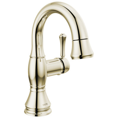 Cassidy Single Hole Pull Out Sprayer Bathroom Faucet, Single Handle Bathroom Sink Faucet