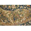 Funky Flatweave Green Rug-103976298