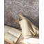 Tapis oriental-535071758