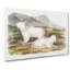 Rocky Mountain Goats by J.W. Audubon - Wrapped Canvas-55323403