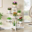 Plant Stand-2036118310