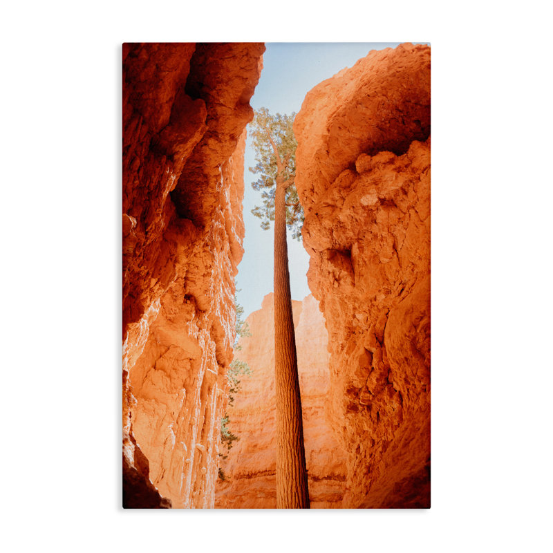 Toile Bryce Canyon, conception de Jade Sharp Photo, H 24 po x l 16 po
