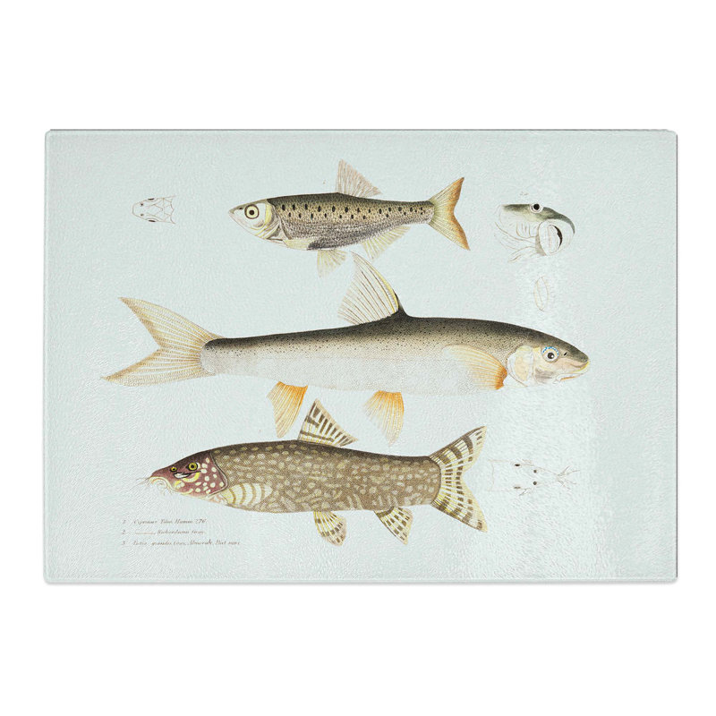 Tempered Glass Carp and Loach Fish Illustrations by John Edward Gray Chopping Board, 39cm W x 28.5cm L