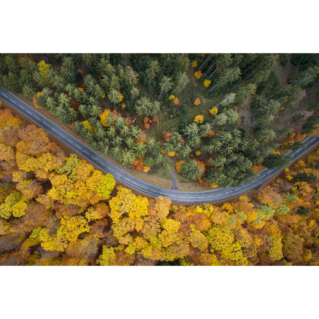 Herbstlicher Wald von Ollo - Leinwandset