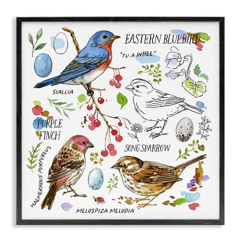 «Woodland Birds Schéma», estampe numérique par Jane Maday, H 12 po x l 12 po, Giclée encadrée noir minuit