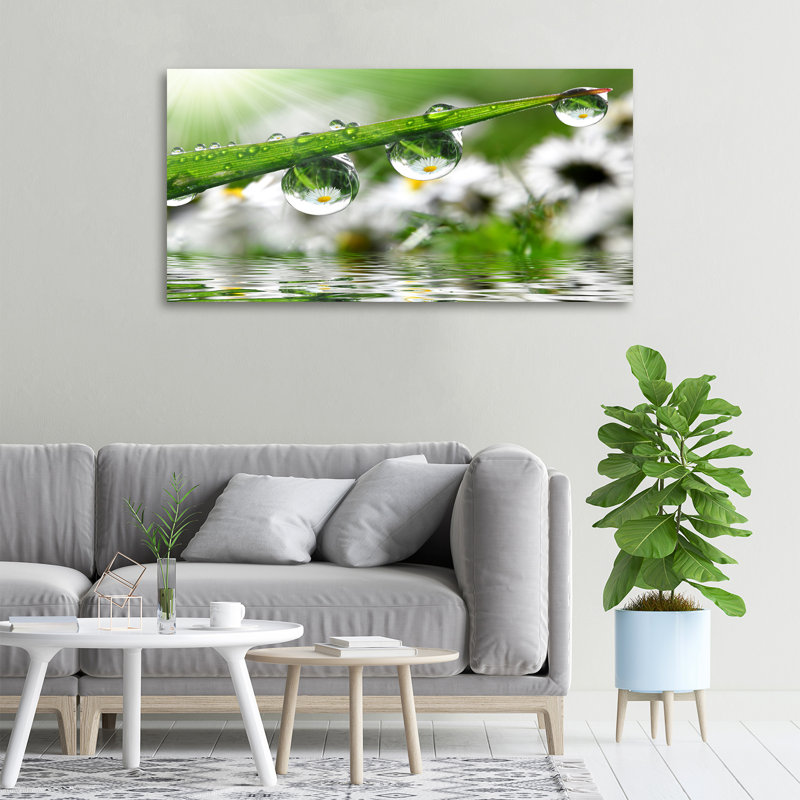Drops On The Grass - Wrapped Canvas Print