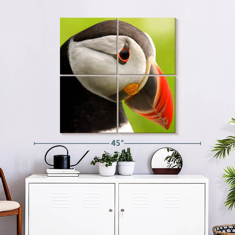Brampt Wild Puffin, 32'' H x 32'' W