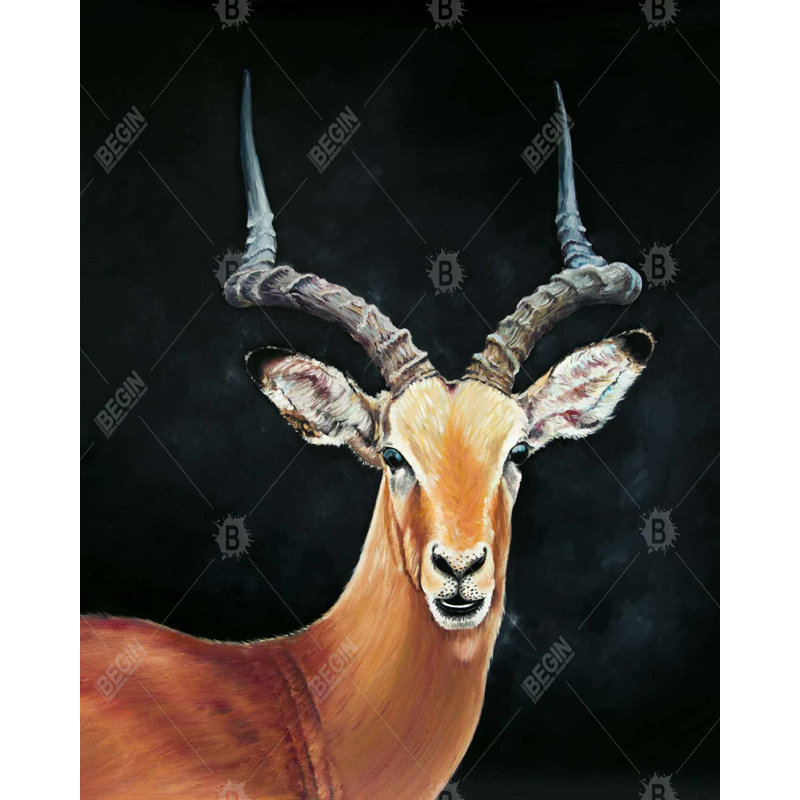 " Antelope "
