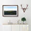 Tuscany Fields in Siena Italy - Picture Frame Painting Print-56734021-56734023