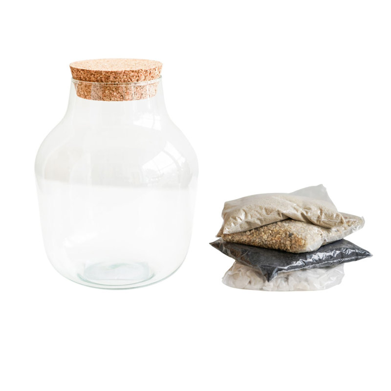 Angluar Glass Terrarium