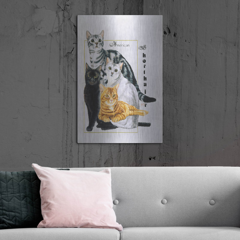 «American Shorthair» par Barbara Keith, H 36 po x l 24 po