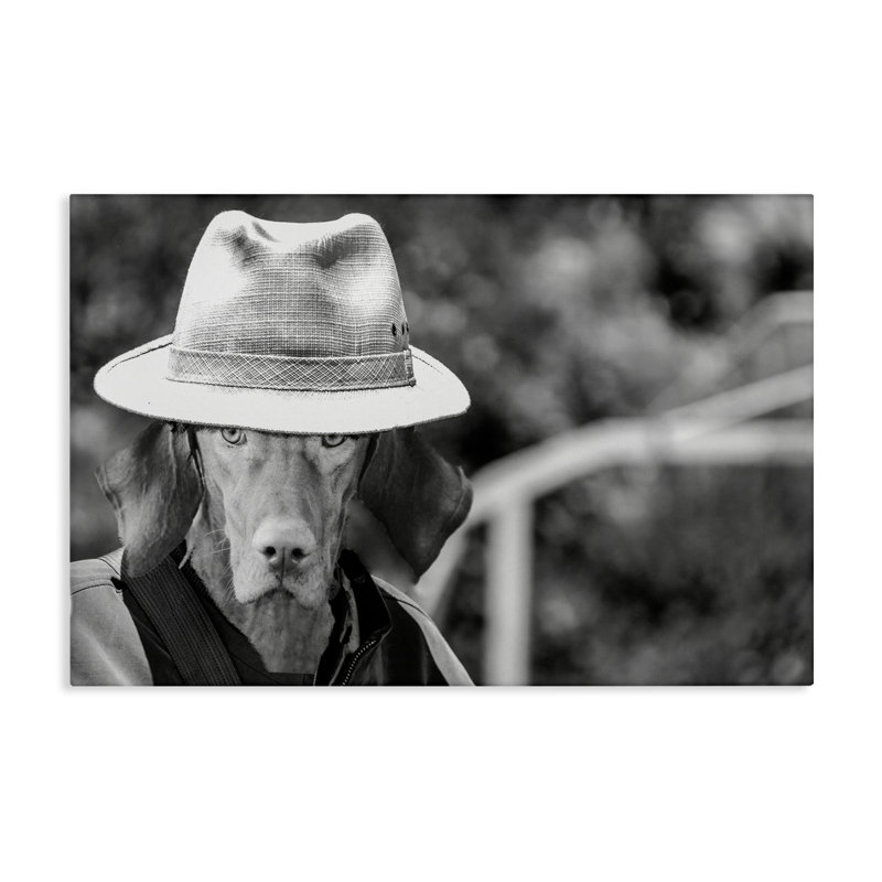 «Country Cowboy Dog» par SD graphiques Studio, H 16 po x l 24 po x P 1,5 po