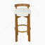 Indoor Low Back Barstool Set Of Two, Crafted For Comfort And Style In Home Bars, Kitchen Islands, And Entertainment Areas-249335327