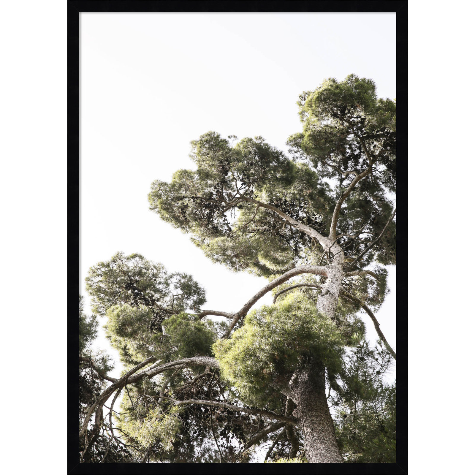 Reshma "Japanese Garden 01" Print, Black, 33" H x 24" W