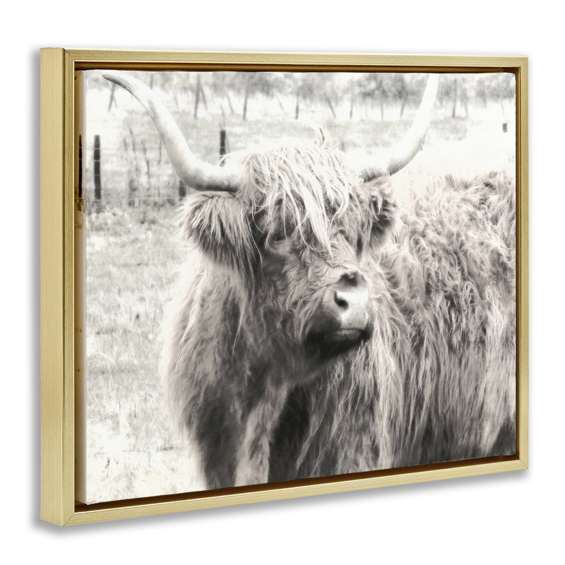  «Highland Cow Gazing Portrait», art mural encadré sur toile flottante par Graffi * Tee Studios, H 17 po x l 21 po