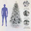7 arbres de Noël