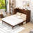 Queen Wood Murphy Bed with Power Station and Storage Drawer-309813100