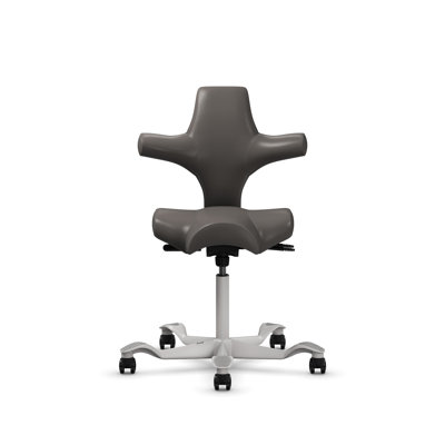 HÅG Capisco Adjustable Standard Height Chair 