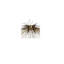 Luminaire suspendu Scarlight-1017404643
