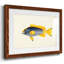 Collection de poissons tropicaux V-1194764178-1194764187