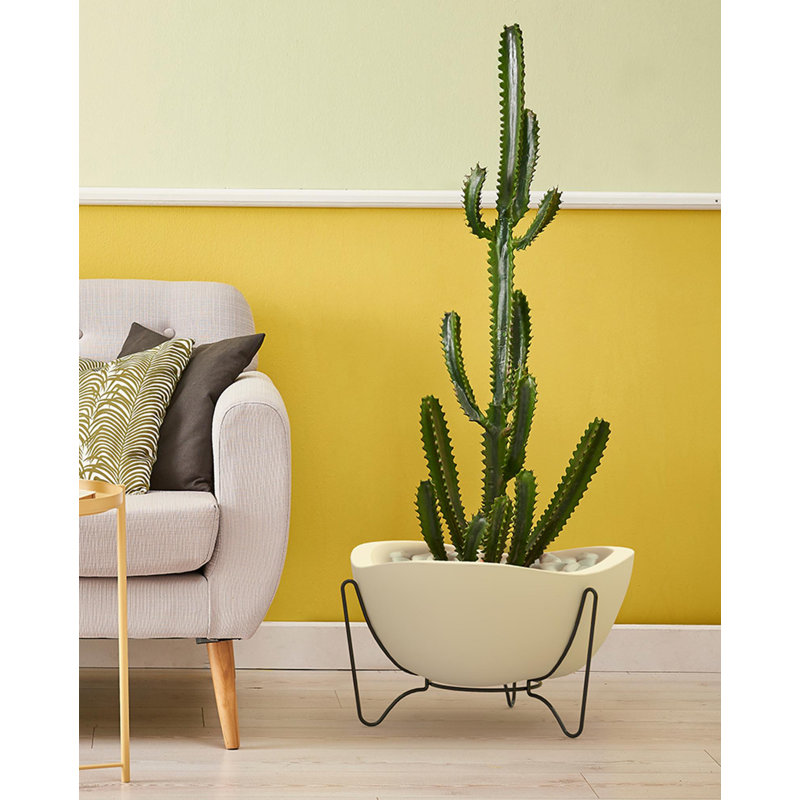Clent Pot Planter, White, 8.86" H x 7.87" W x 7.87" D