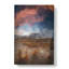 King Penguins & Mountains In Abstract - Wrapped Canvas-55308127