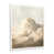 White Picture Framed