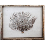 Sealife Print