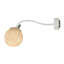 Luna Armed Sconce-813402772