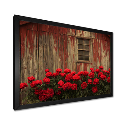 «Dondrey Dark Roses Flowers At The Barn I» - art mural roses