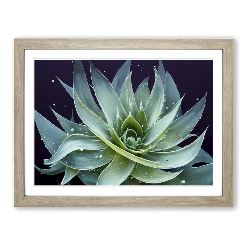 Electrifying Aloe Vera Plant - Single Picture Frame Painting, 25cm H x 34cm W x 2cm D, Oak