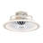 18'' Ceiling Fan with LED Lights