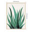 «Desert Agave Cactus» par Kristian Gallagher, impression sur bois encadrée-112833562