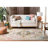 Haneul Performance Oriental Rug-41933097