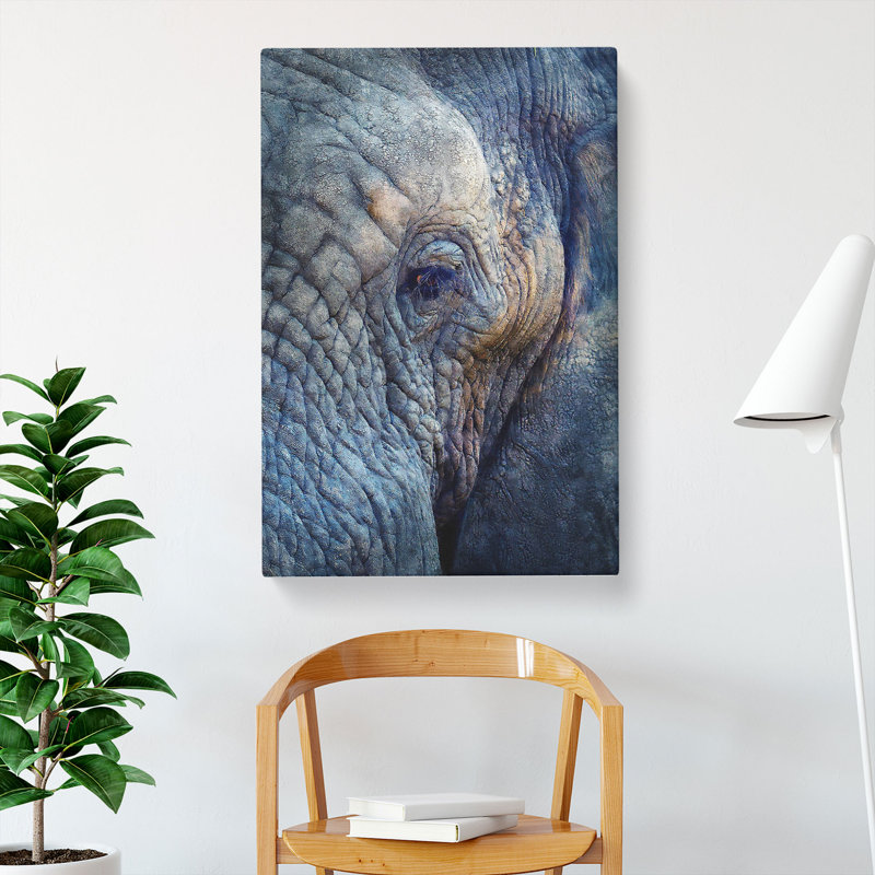 Blue Elephant - Wrapped Canvas, 76cm H x 50cm W x 3cm D