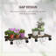 Planter
