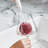 Interchangeable Glassware Cleaning Brush 5 pc Set