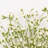 24" Artificial Wildflower Floral Arrangement For Vase Filler, Farmhouse Greenery Foliage Branch Long Stem Floral Bulk Bouquet For Wedding Party Home Office Table Centerpiece Shelf Decorations-1078275032