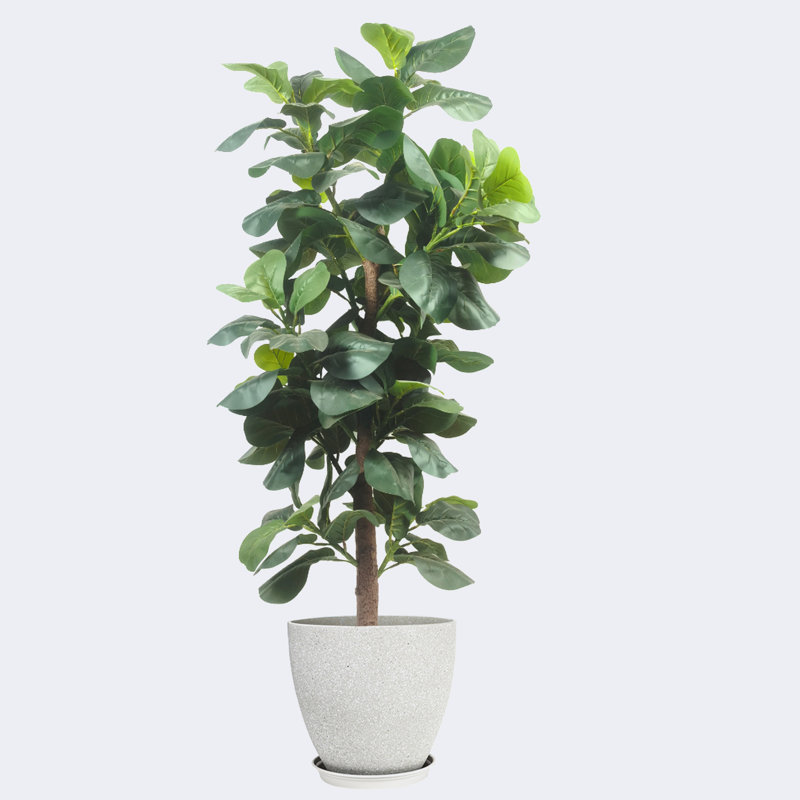 Pots à fleurs artificiels en figuier et résine, Gris clair, H 19,69 po x l 62,99 po x P 19,69 po