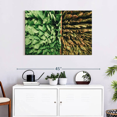 Harnek Tobacco Leaves