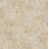 Beige sélectionné