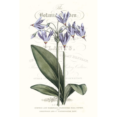 Flower Garden Varietals I