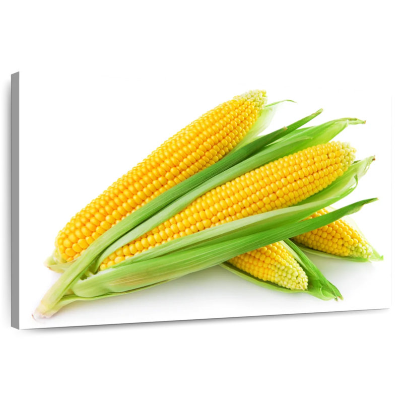 Four Ears Of Corn, 26" H x 39" W