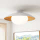 Jason Single Light Glass Flush Mount