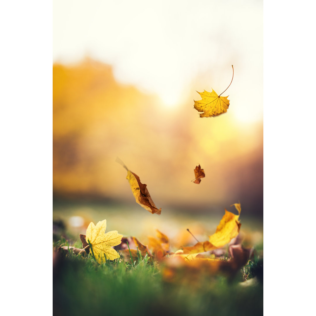 Fallende Herbstblätter im Park