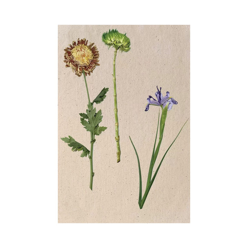 Pretty Pressed Flowers III by Melissa Wang - Wrapped Canvas Painting, 20.32 cm H x 30.48 cm W