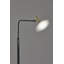 Kodi 54'' LED Floor Lamp