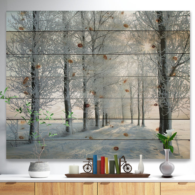«Winter Trees Backlit» par Morning Sun - peinture sur bois sans cadre, H 30 po x l 40 po x P 1 po