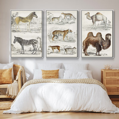 " Journal Of Natural History I " 3 - Pieces